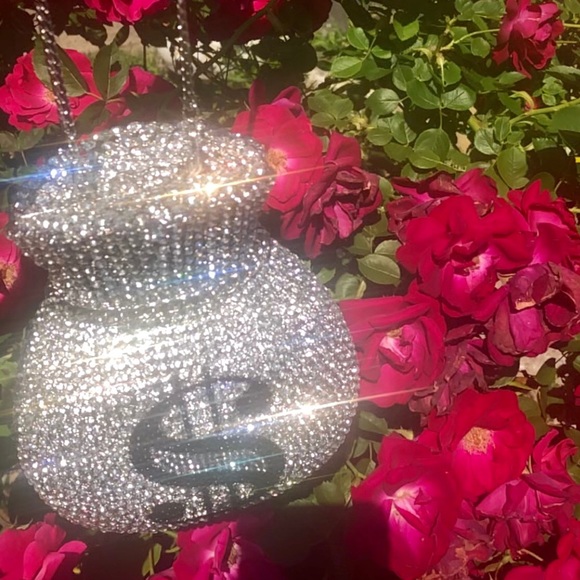 CRYSTAL “ LOTTAH MONEY” Bag 💕🤑 - Picture 1 of 2